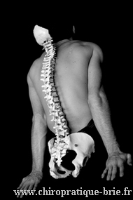 Spécialiste des douleurs de dos. Chiropracteur 77 et colonne vertébrale